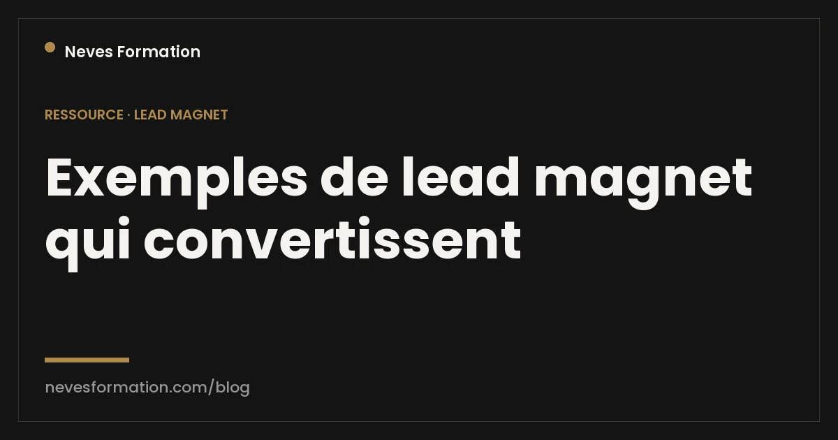 Exemples de lead magnet